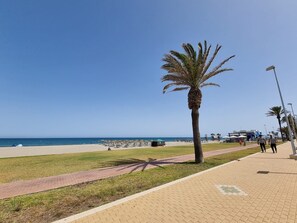 A beach with a palm tree, a clear sky, and a pathway. - Vacation Apartment – Pool, Terrace, and Nearby Beach (Roquetas de Mar)