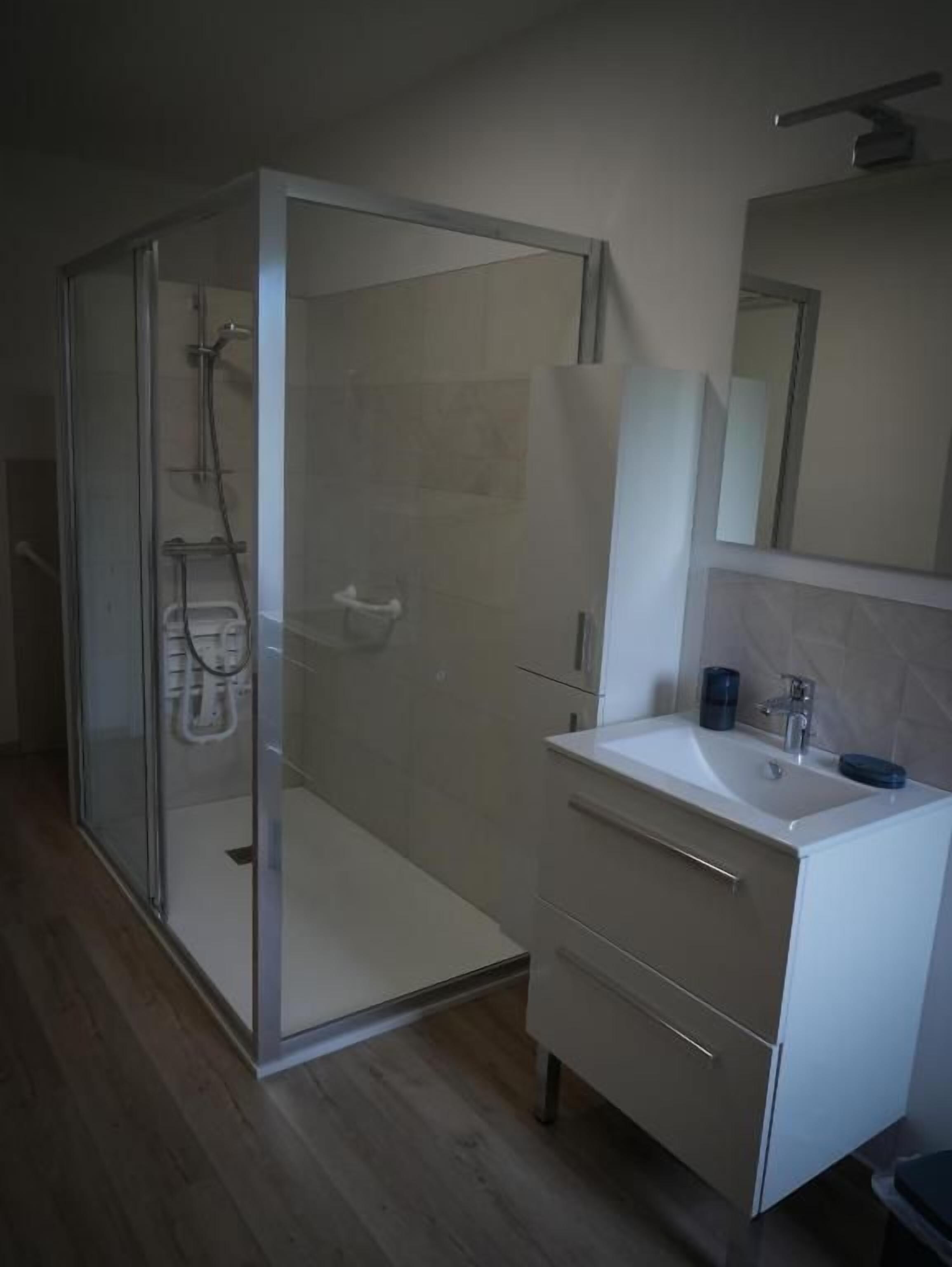 Un baño moderno con ducha envuelta en vidrio, un lavabo blanco y un espejo encima.