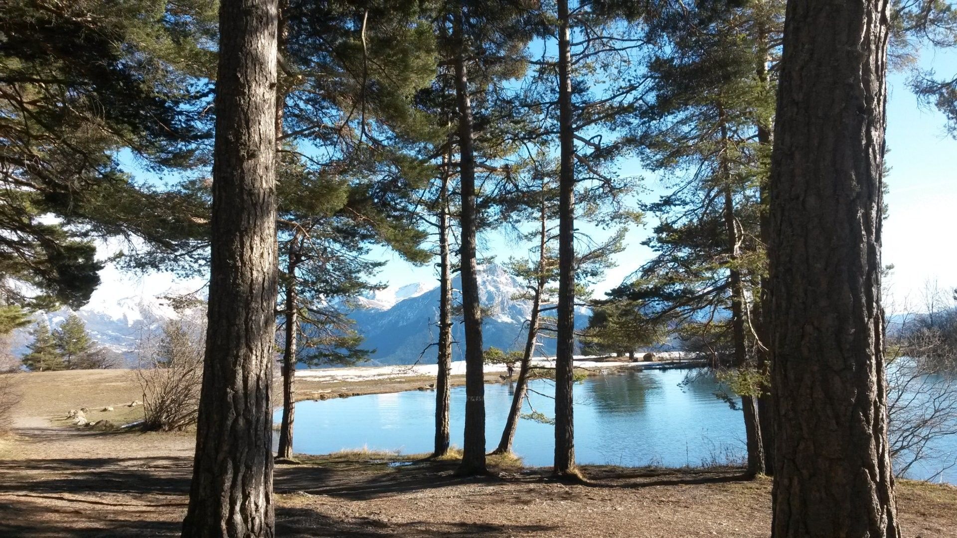 A natural landscape with a lake, trees, and mountains in the background.