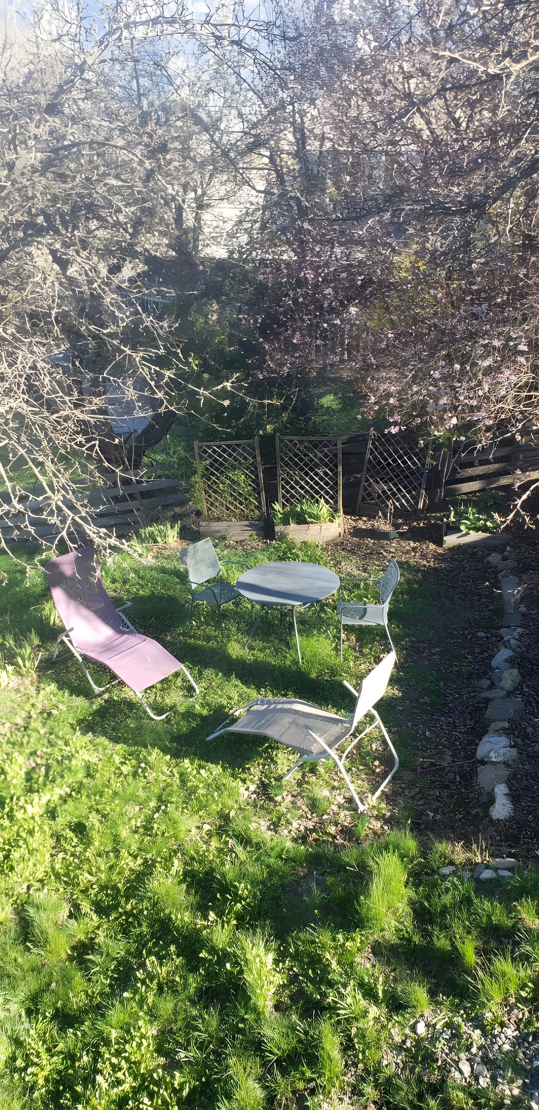 An outdoor seating area with a table and chairs, surrounded by greenery and trees.