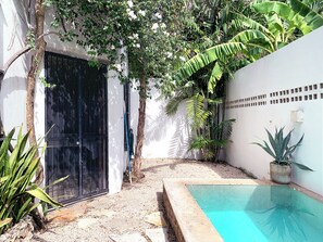A pool area with a white wall, a black gate, and various plants. - 3-bedroom house with hacienda-inspired kitchen in charming Centro with AC (Centro)