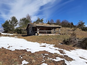 Eksteriør