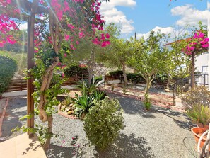 Ein Garten mit einer Pergola, Kieswegen und verschiedenen Pflanzen.