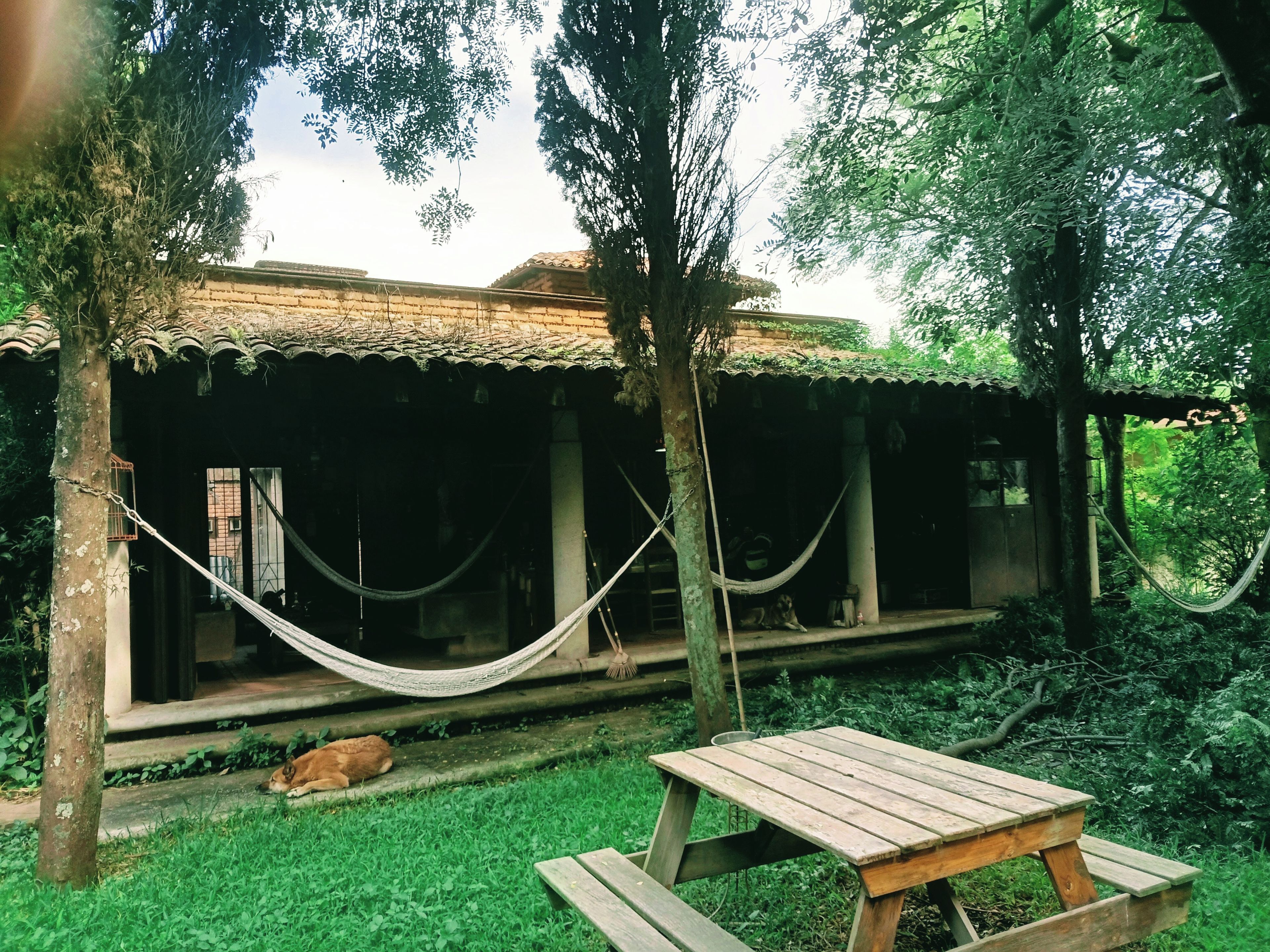 A wooden structure with a thatched roof, a hammock, and a picnic table in a lush garden setting.