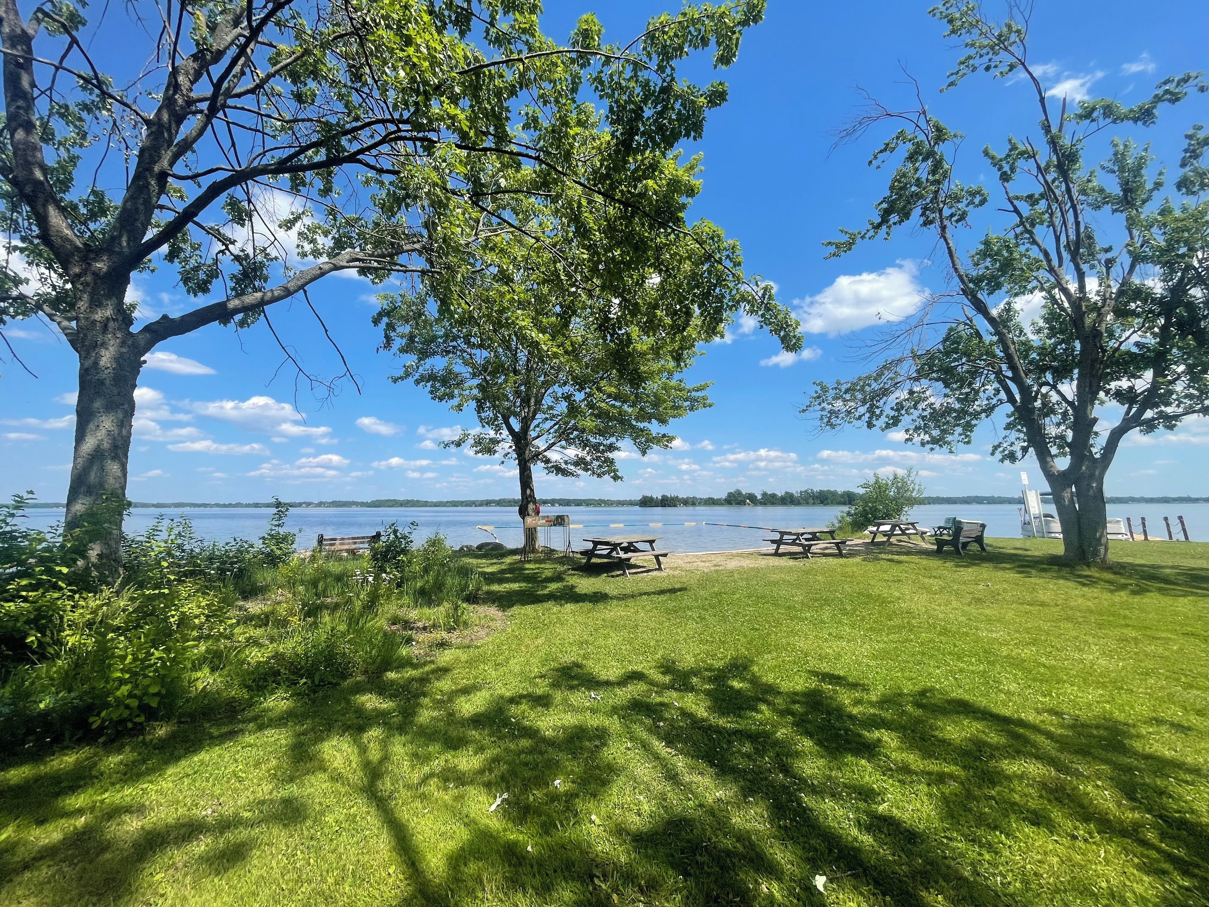 A lakeside picnic area with benches and picnic tables, surrounded by trees.