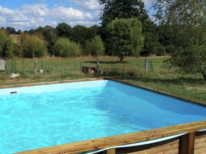Una piscina rectangular con borde de madera, rodeada de césped y árboles.