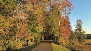 Ein gepflasterter Weg, gesäumt von Bäumen mit Herbstlaub, führt in einen bewaldeten Bereich.
