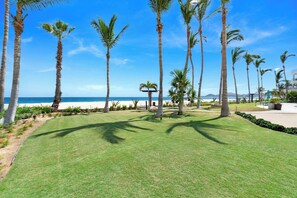 A well-maintained lawn with palm trees, a beach in the background, and a clear blue sky. - 2BR Beachfront Condo With Pool Access & Terrace ! (San José del Cabo)