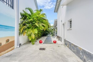 Une ruelle étroite avec un chemin en béton, bordée de murs blancs et d’une végétation luxuriante composée de palmiers.