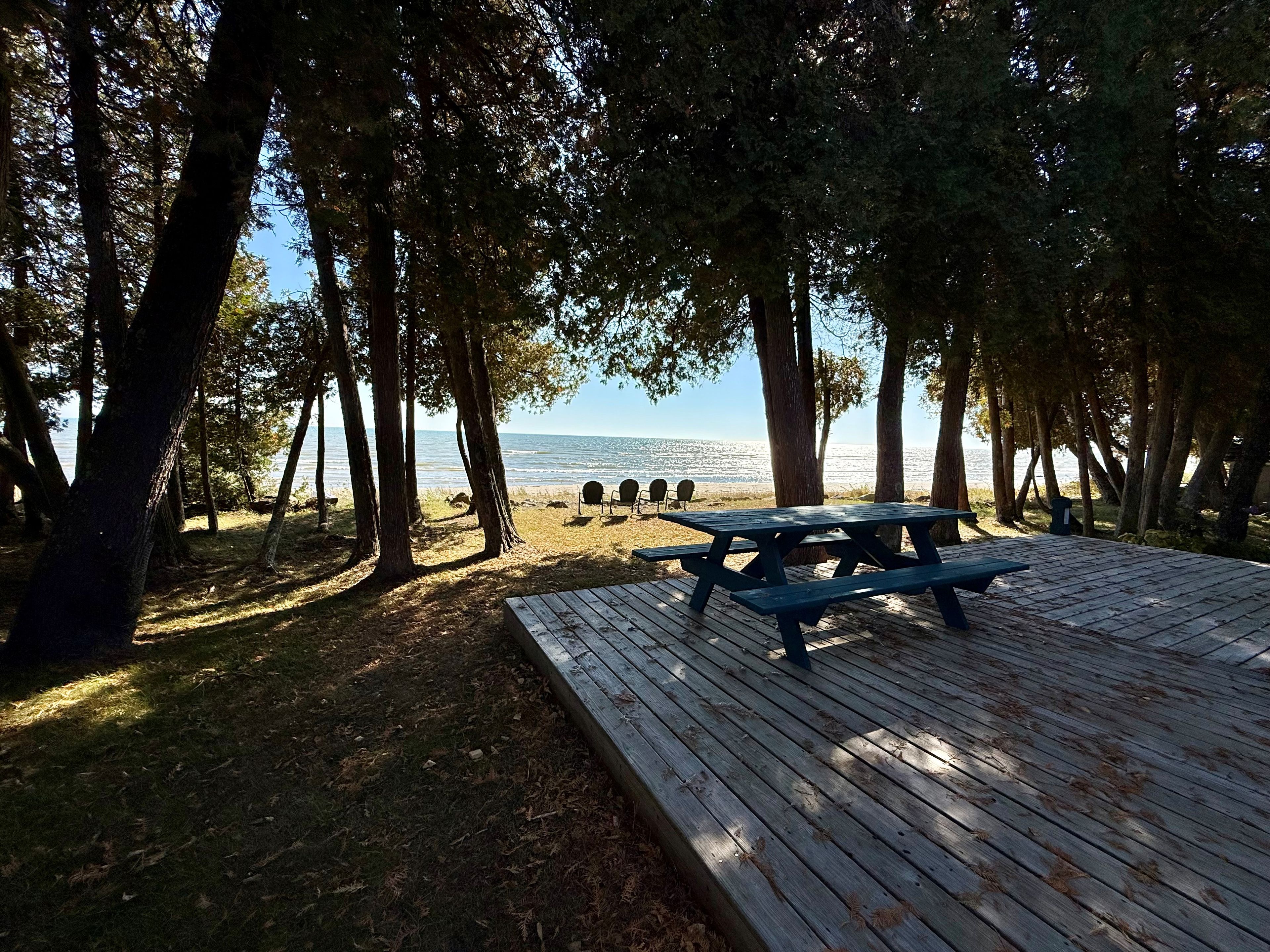 A picnic table with benches, surrounded by trees, overlooking a beach.