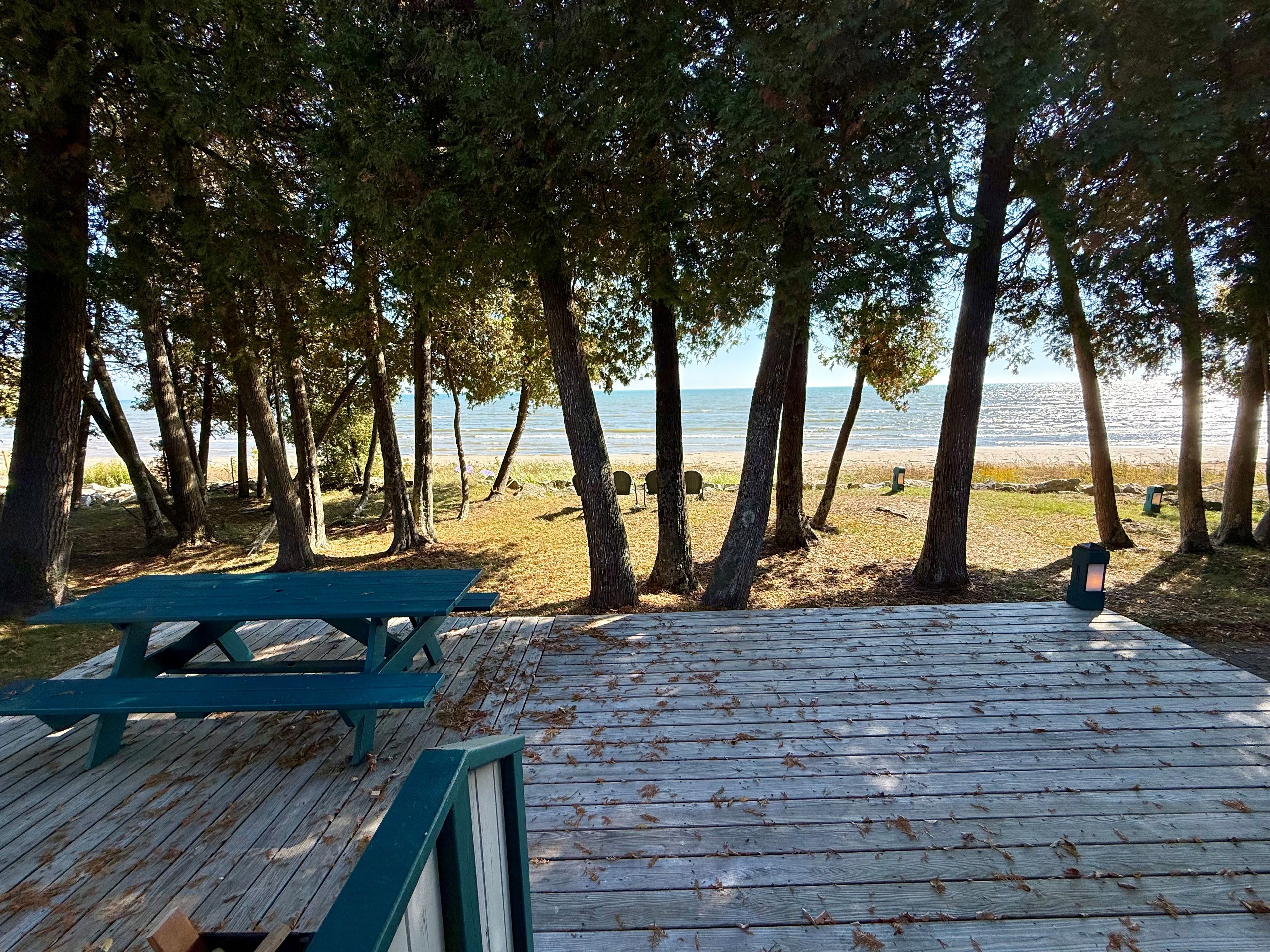 A wooden deck with a picnic table and benches overlooking a beach with trees and a clear view of the water.