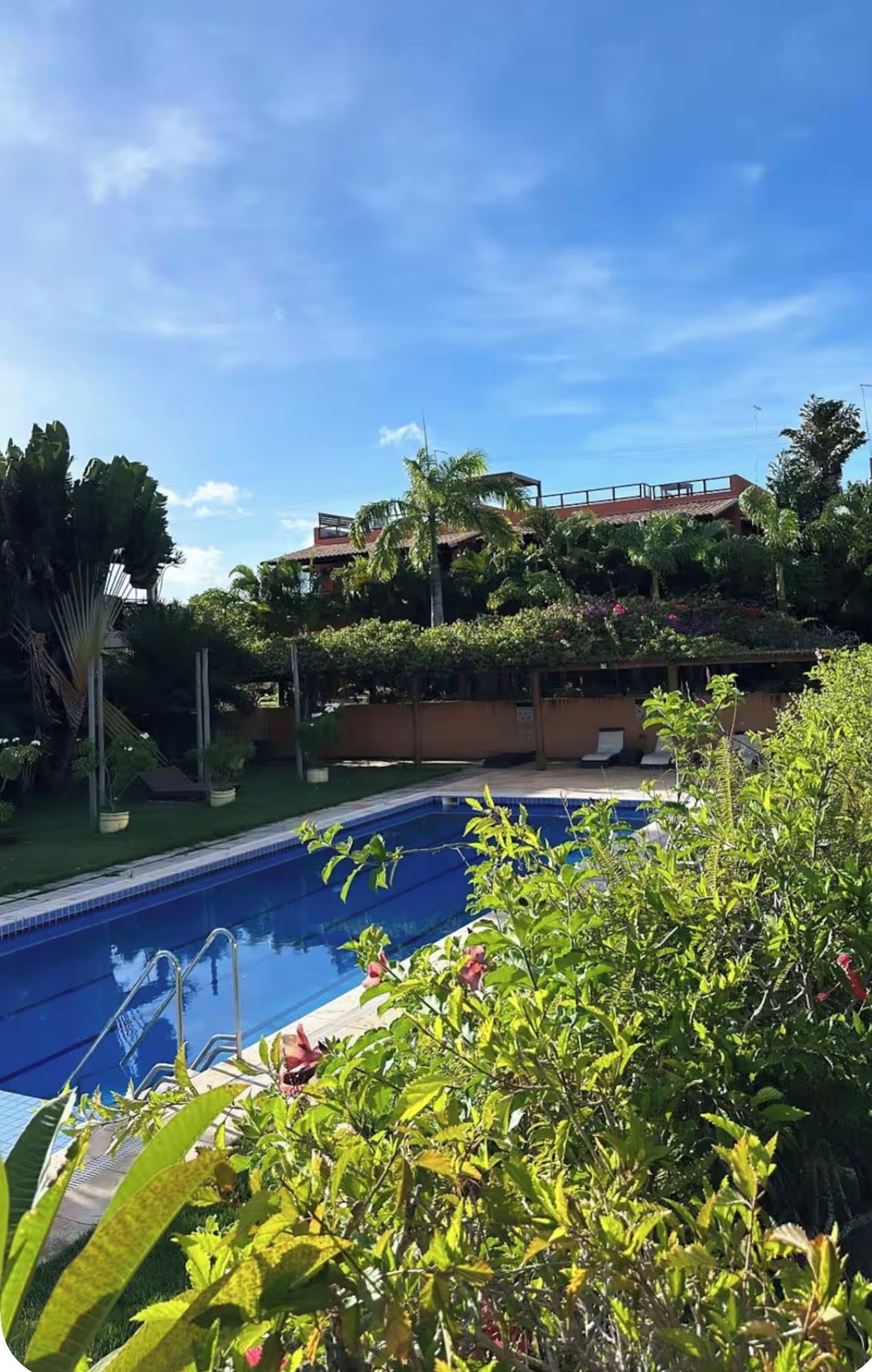 Una piscina con superficie de agua azul cristalina, rodeada de exuberante vegetación y un edificio con techo rojo al fondo.