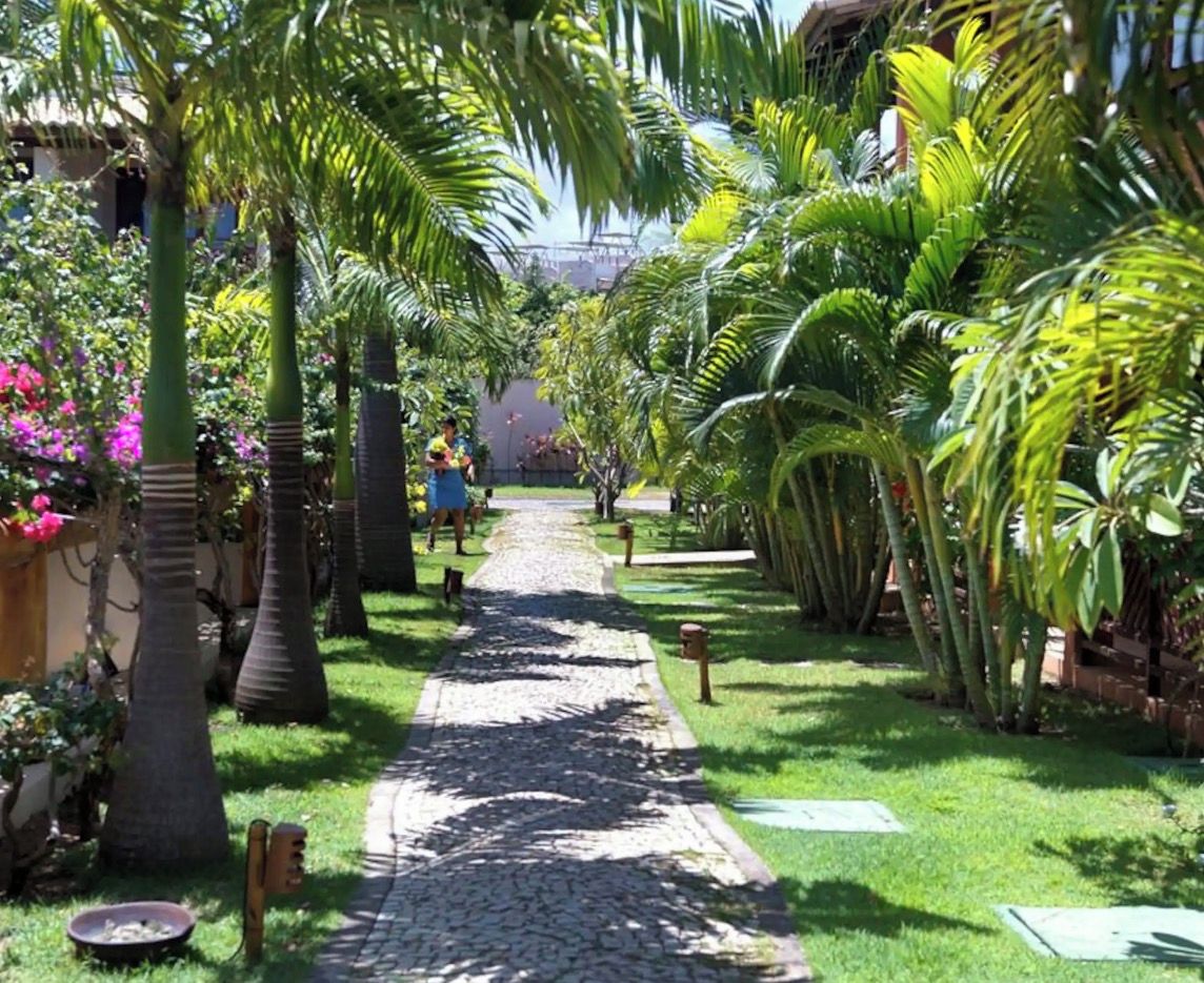A garden pathway lined with palm trees and tropical plants, leading to a building.