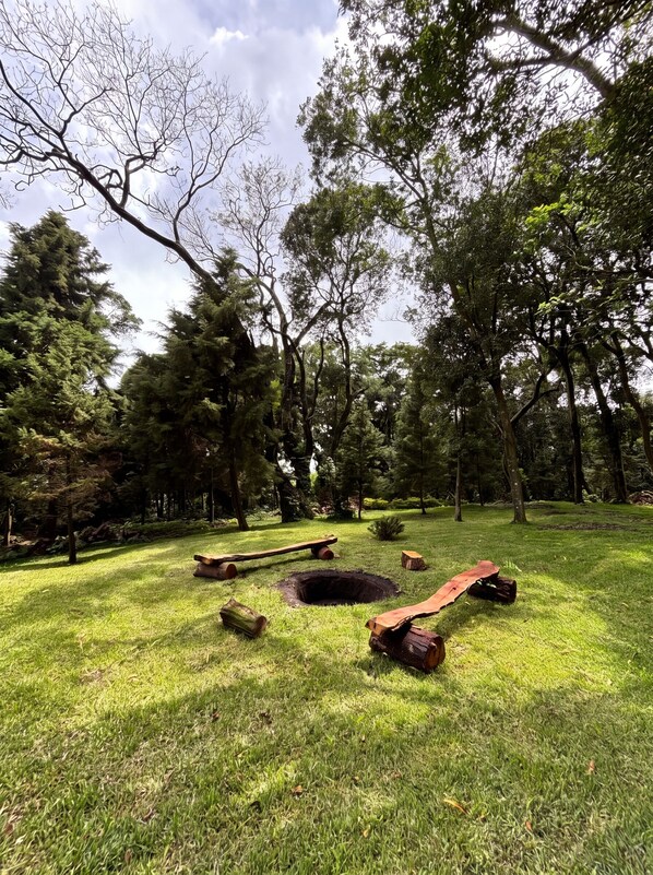 Un parc avec une zone herbeuse, des arbres et une structure en bois.