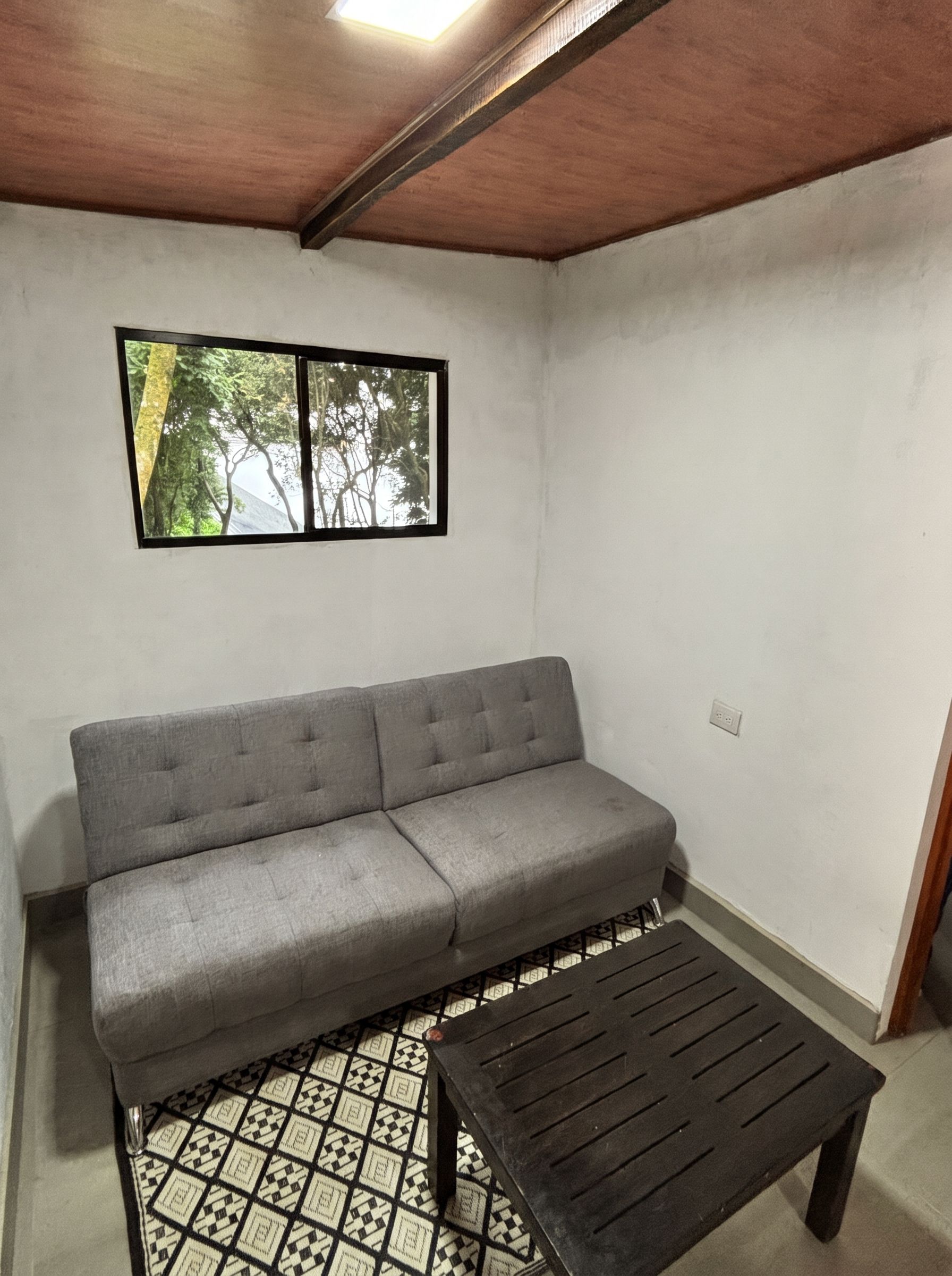 A room with a grey sofa, a patterned floor, a window with a view of trees, and a ceiling light.