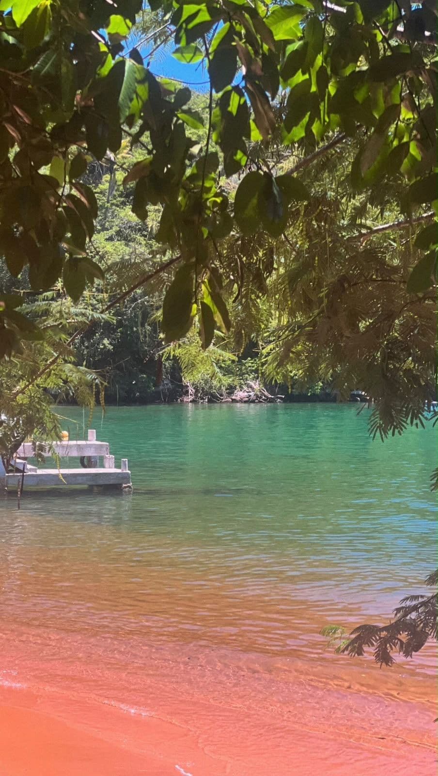 Una embarcación sobre aguas tranquilas, rodeada de abundante vegetación.