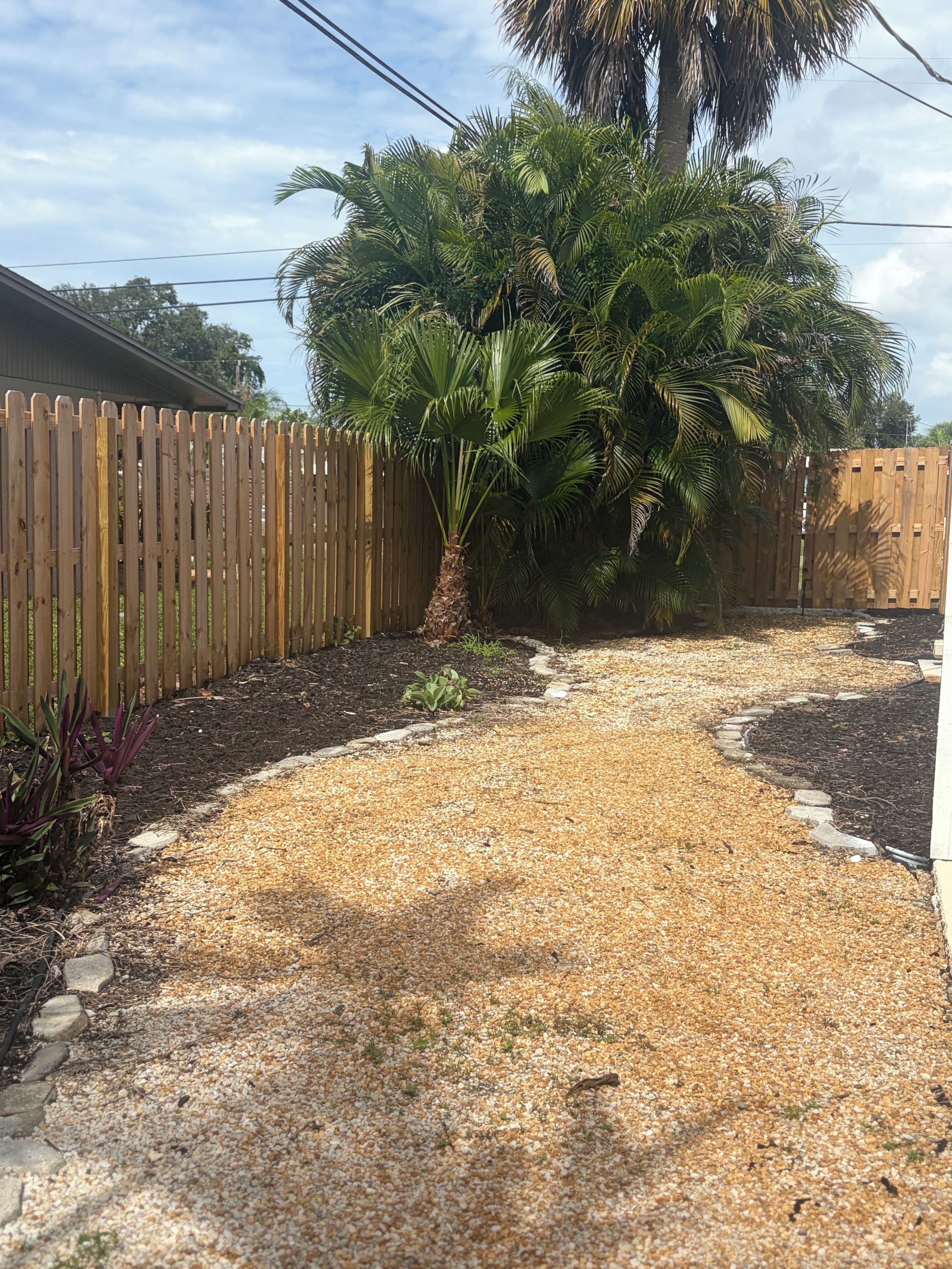 A gravel pathway leading to a wooden fence and a palm tree.