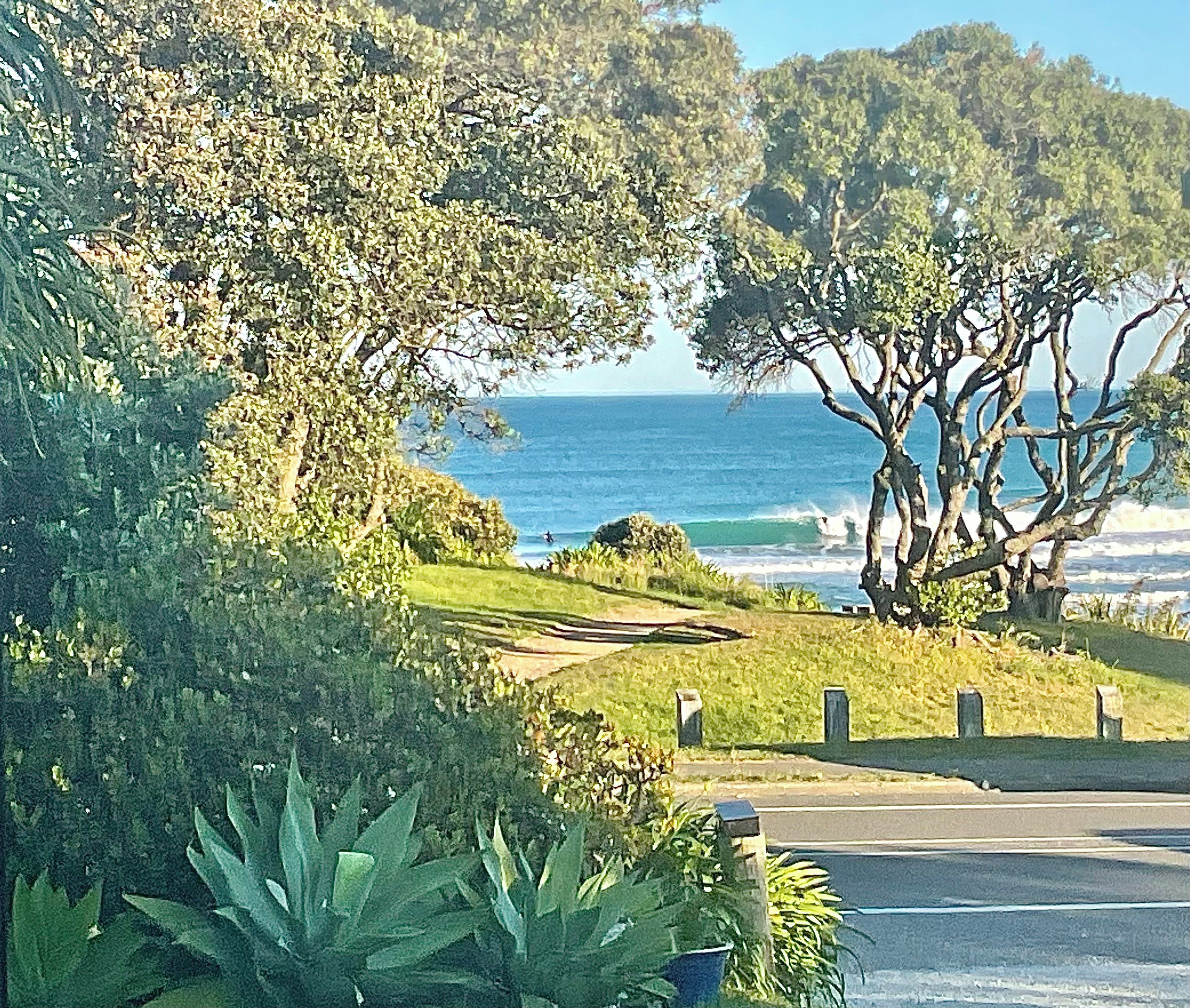 Un paysage côtier avec une route, des arbres et une vue sur la mer.