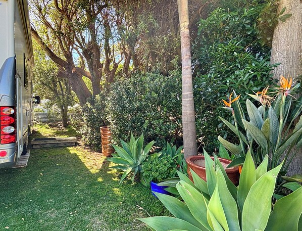 A vehicle parked in a garden with various plants and trees.