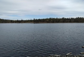 A calm lake with a forested shoreline. - Bush Pilot Hunter s Retreat Lodge (Iliamna)