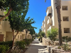 A pathway flanked by buildings with balconies, surrounded by greenery and cacti. - Sunny Spanish Escape – 2-Bed Townhouse with Stunning Pool Views (San Javier)