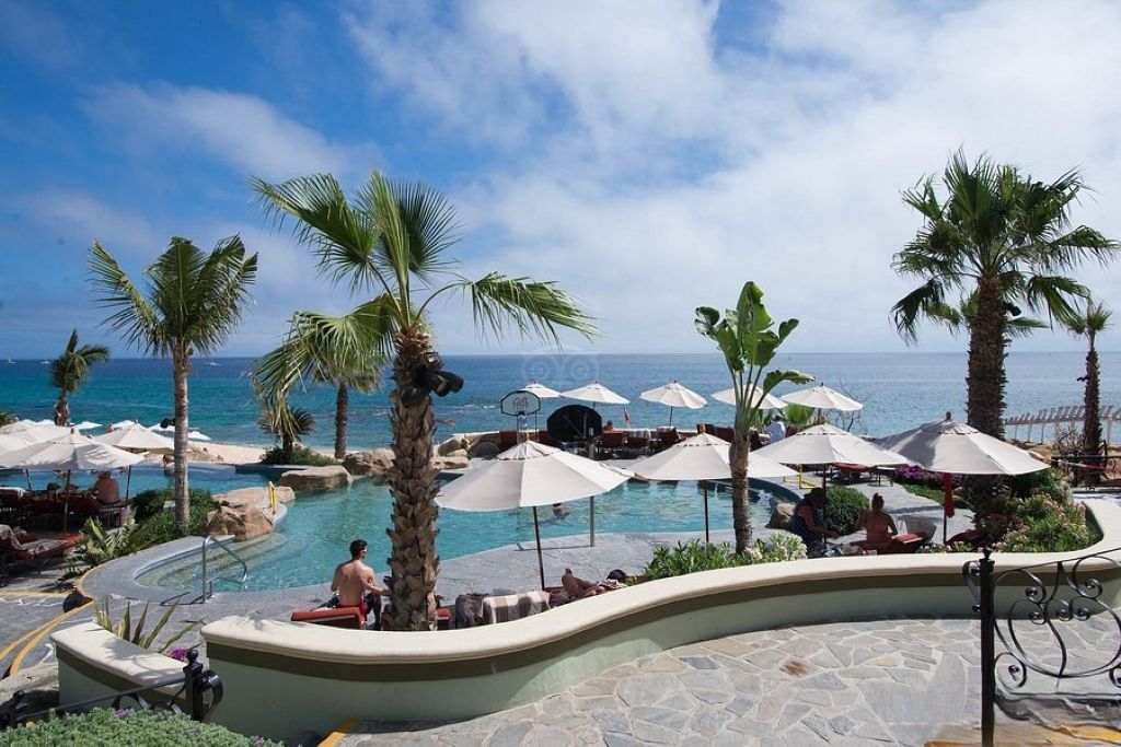 A resort pool area with palm trees, lounge chairs, and umbrellas.