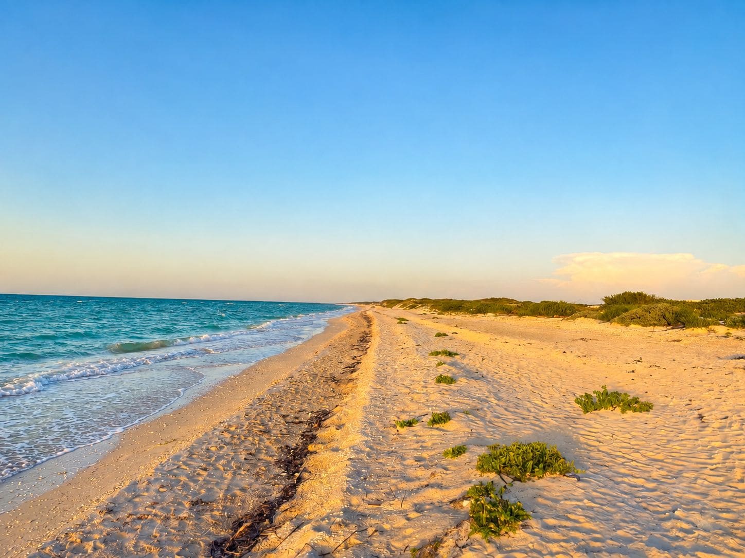 A beach with a clear sky, a sandy path leading to the water, and sparse vegetation.