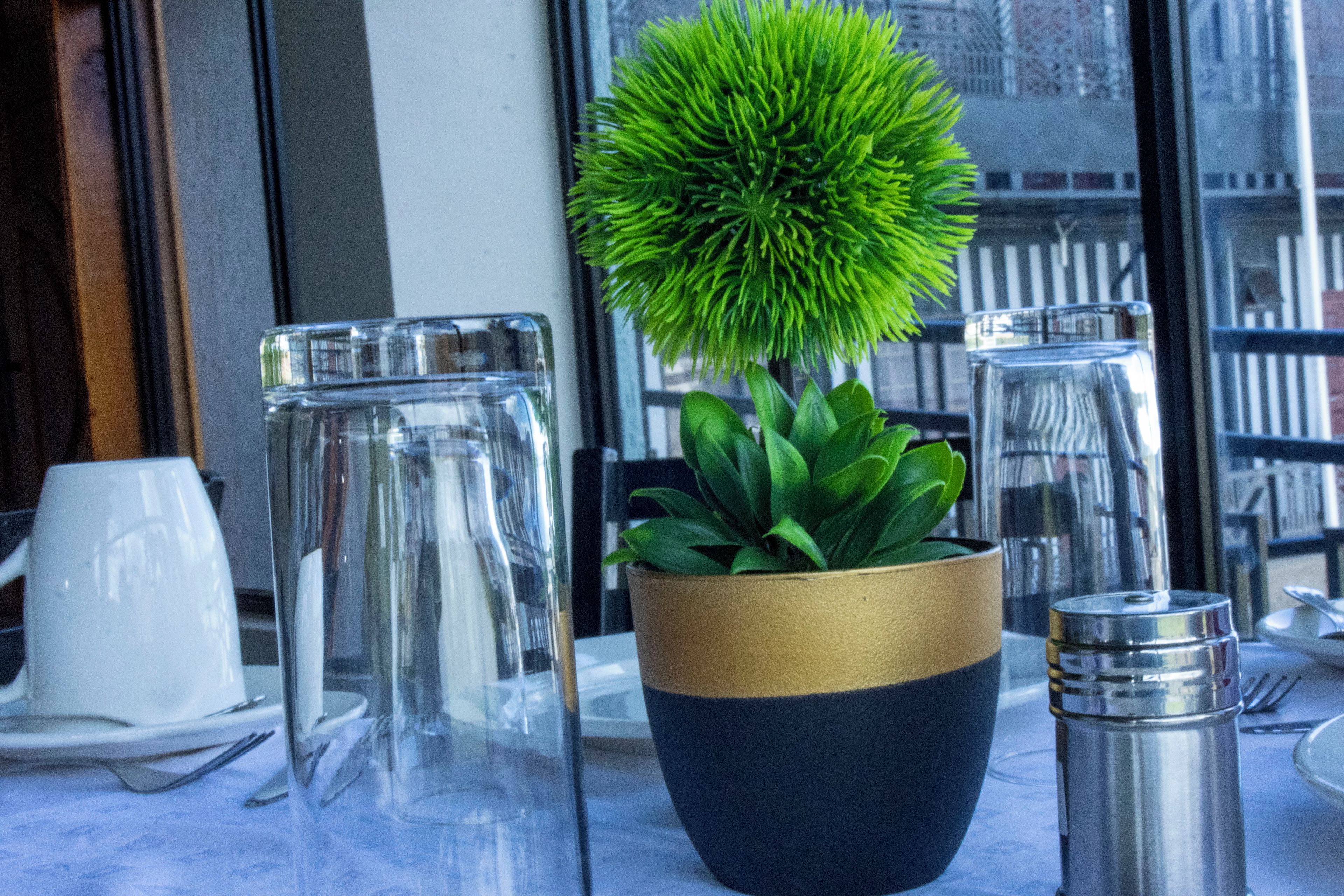Una mesa con una planta en maceta, un jarro de vidrio y un recipiente metálico.