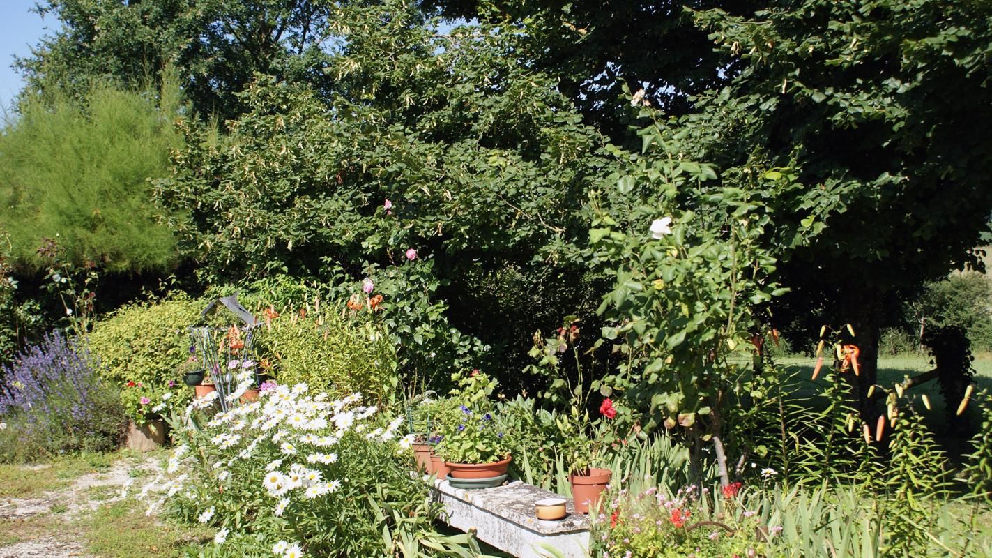 A garden with various plants and flowers, a pathway, and a stone bench.