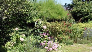 A garden with various plants and flowers, including roses and other greenery. - La Boulitte - ASNOIS (ASNOIS)