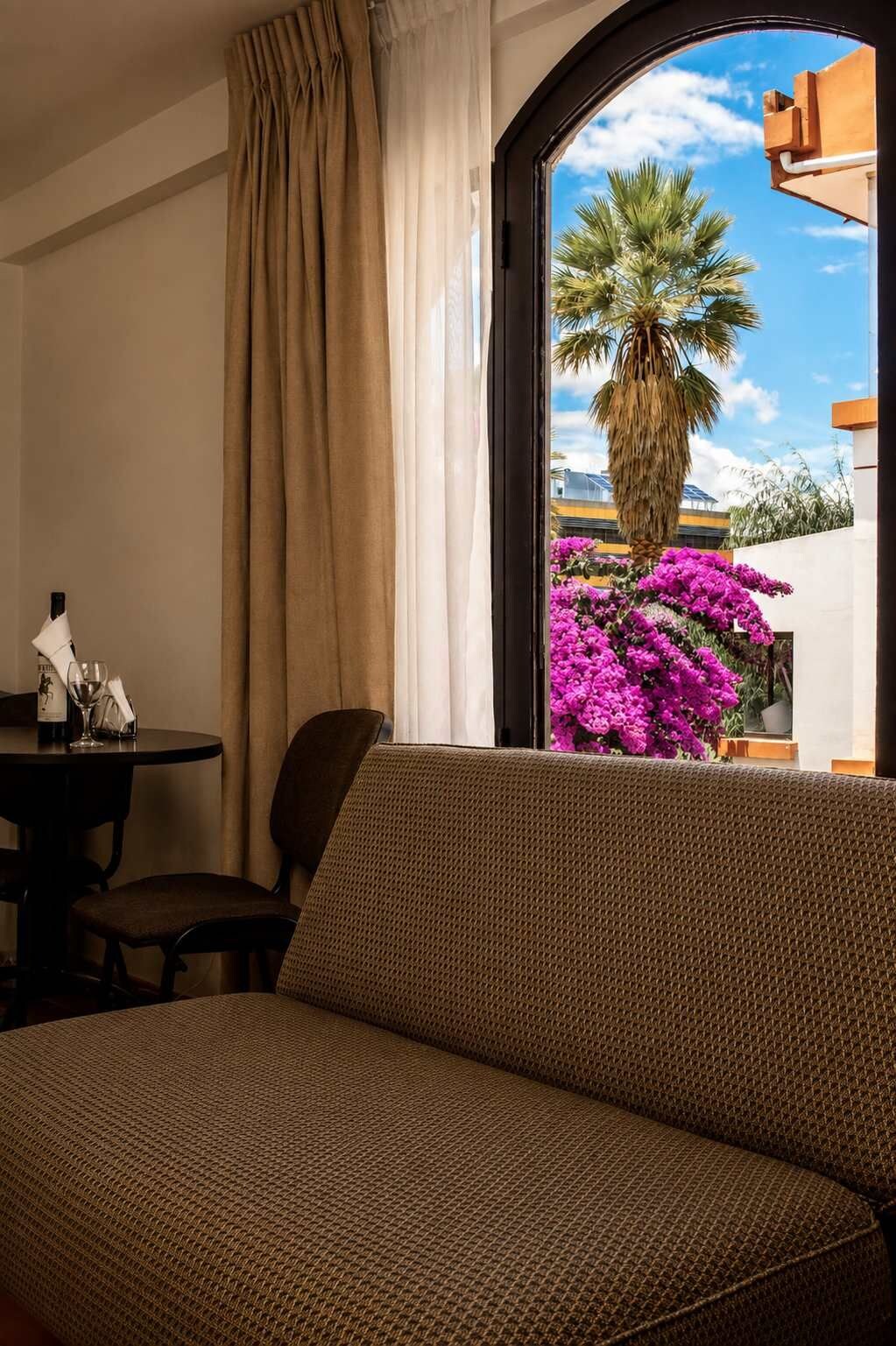 A room with a sofa, a table with a glass, and a window with a view of a palm tree and flowers.