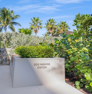 Property grounds - Oceanfront Three-bedroom Condo with Infinity Pool (Nassau)