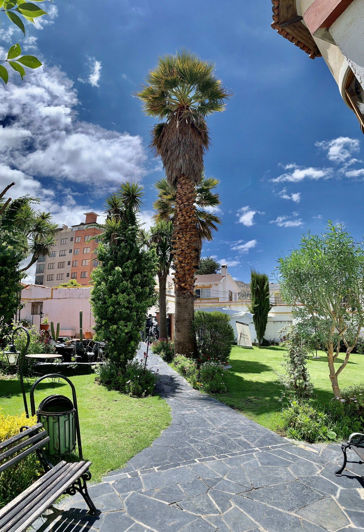 A stone pathway leading to a building with a palm tree in the center, surrounded by greenery and a clear sky.