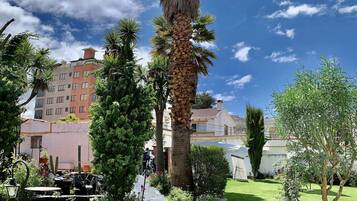 A stone pathway leading to a building with a palm tree in the center, surrounded by greenery and a clear sky.