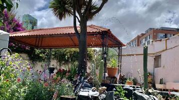 Un jardín con una fuente, una palmera y un edificio de techo rojo al fondo.
