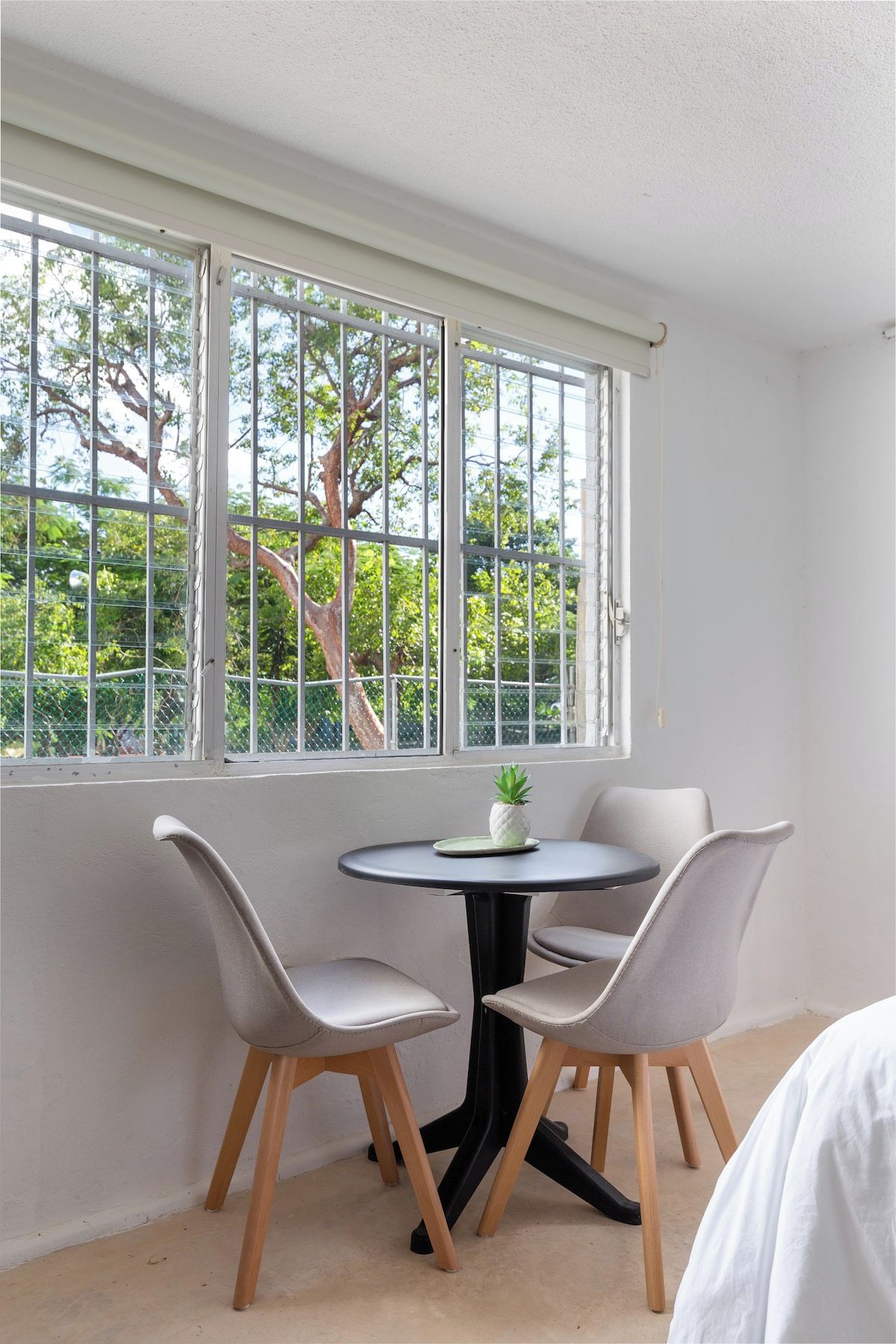 Una habitación con una mesa redonda y dos sillas, una planta en maceta sobre la mesa, y una ventana con vistas a árboles.