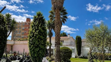 A stone pathway leading to a building with a palm tree and a fountain.