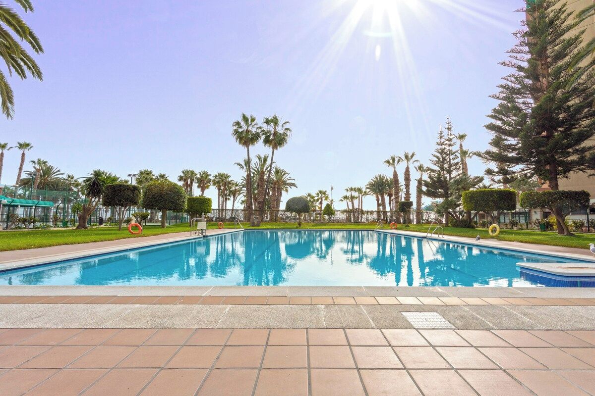 A swimming pool with a clear blue water surface, surrounded by palm trees and a fence.