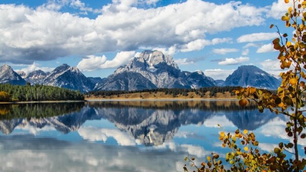 Miscellaneous - Experience the Perfect Blend of Luxury, Adventure, and Family-Friendly Amenities (Teton Village)