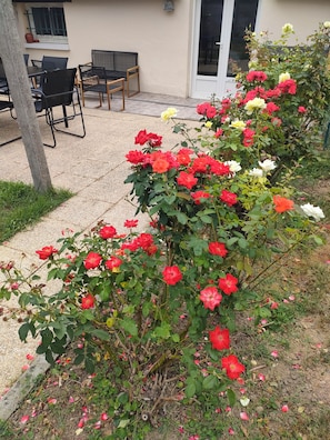 A garden with a variety of roses and a patio area with outdoor furniture. - Townhouse with a terrace and garden, 180 m from the lock. (Tinténiac)