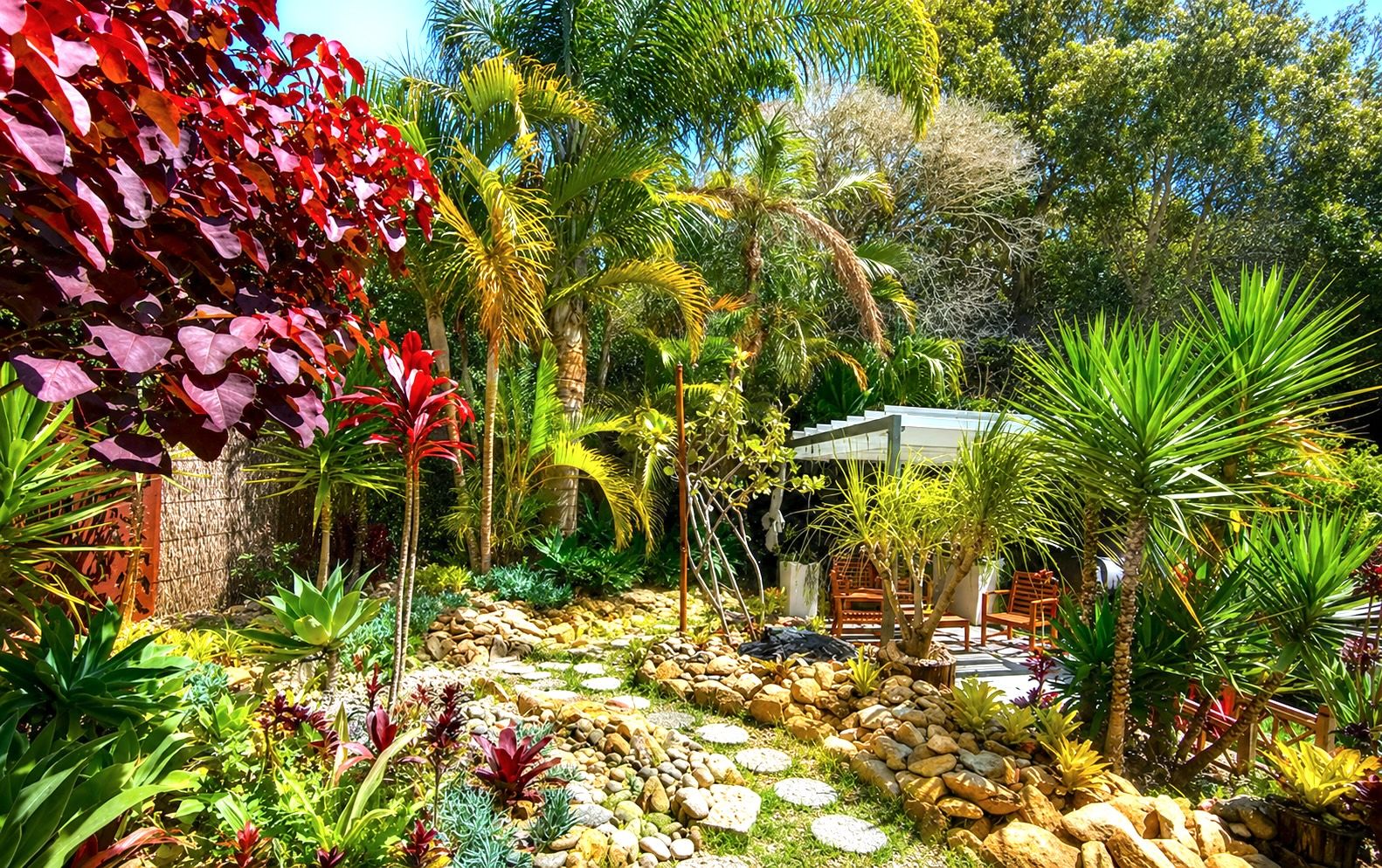 A garden with a variety of plants, a pathway, and a small structure.