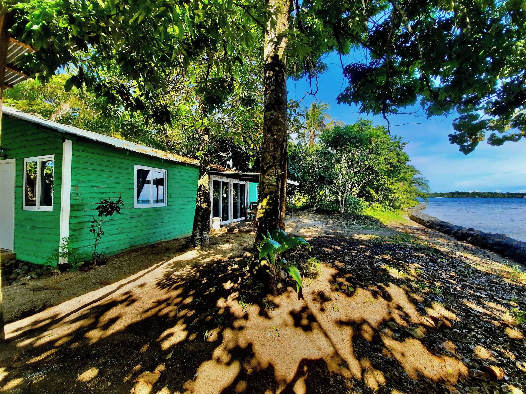 A green wooden cabin with a window and a door, surrounded by trees and a beach.