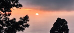 A sunset with a visible sun partially obscured by clouds, surrounded by silhouettes of trees. - Little Climbers 1 (El Paso)