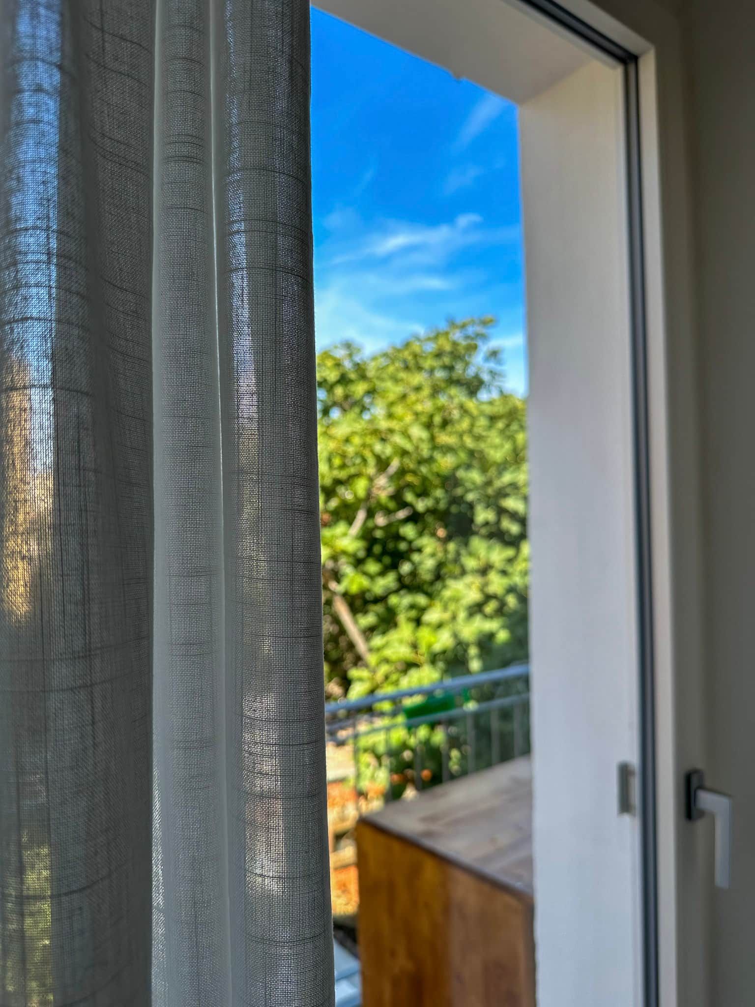 Une vue à travers une fenêtre munie d’un moustiquaire, un ciel dégagé et un arbre vert à l’extérieur.