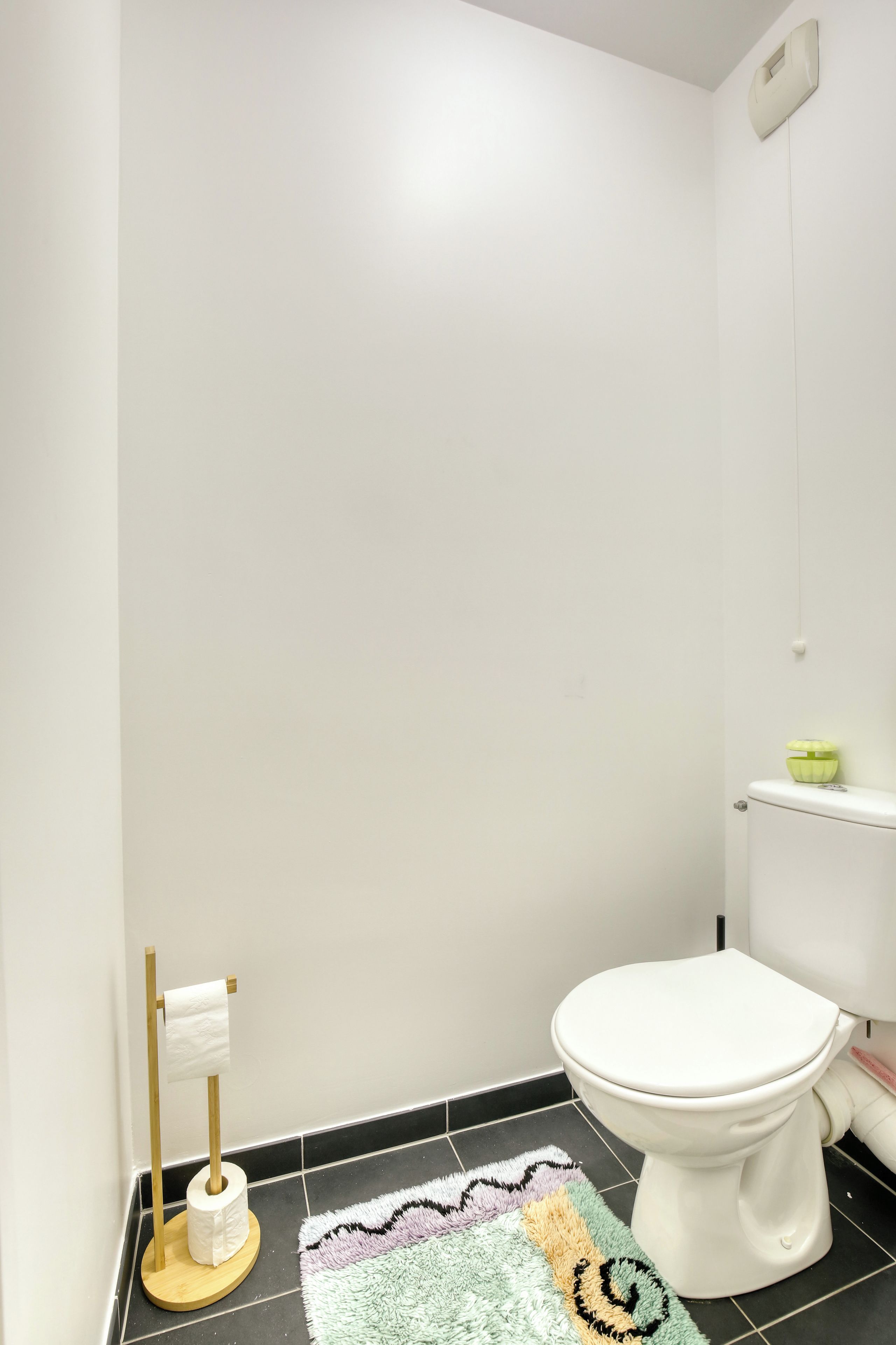 Une salle de bain avec des toilettes, un rouleau de papier toilette posé sur un porte-rouleau et un tapis à motifs sur le sol.