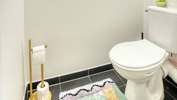 Une salle de bain avec des toilettes, un rouleau de papier toilette posé sur un porte-rouleau et un tapis à motifs sur le sol.