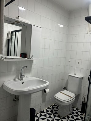 Kylpyhuoneessa on valkoinen pesuallas, wc ja peili, joka on sijoitettu pesualtaan yläpuolelle.