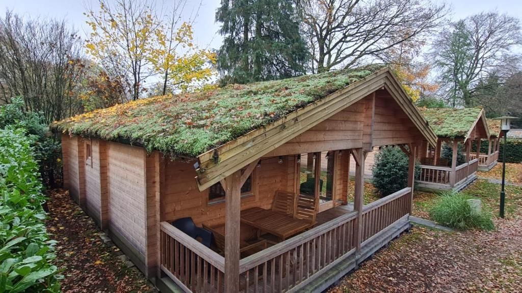 A wooden cabin with a sloped roof covered in vegetation, a porch with seating, and a small deck area.