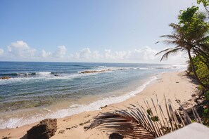 A beach with clear skies, calm waves, and a palm tree. - Apt with Terrace near Beaches & Old San Juan-21 (San Juan)