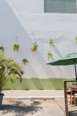 A patio area with a white wall, green lower section, and hanging plants.